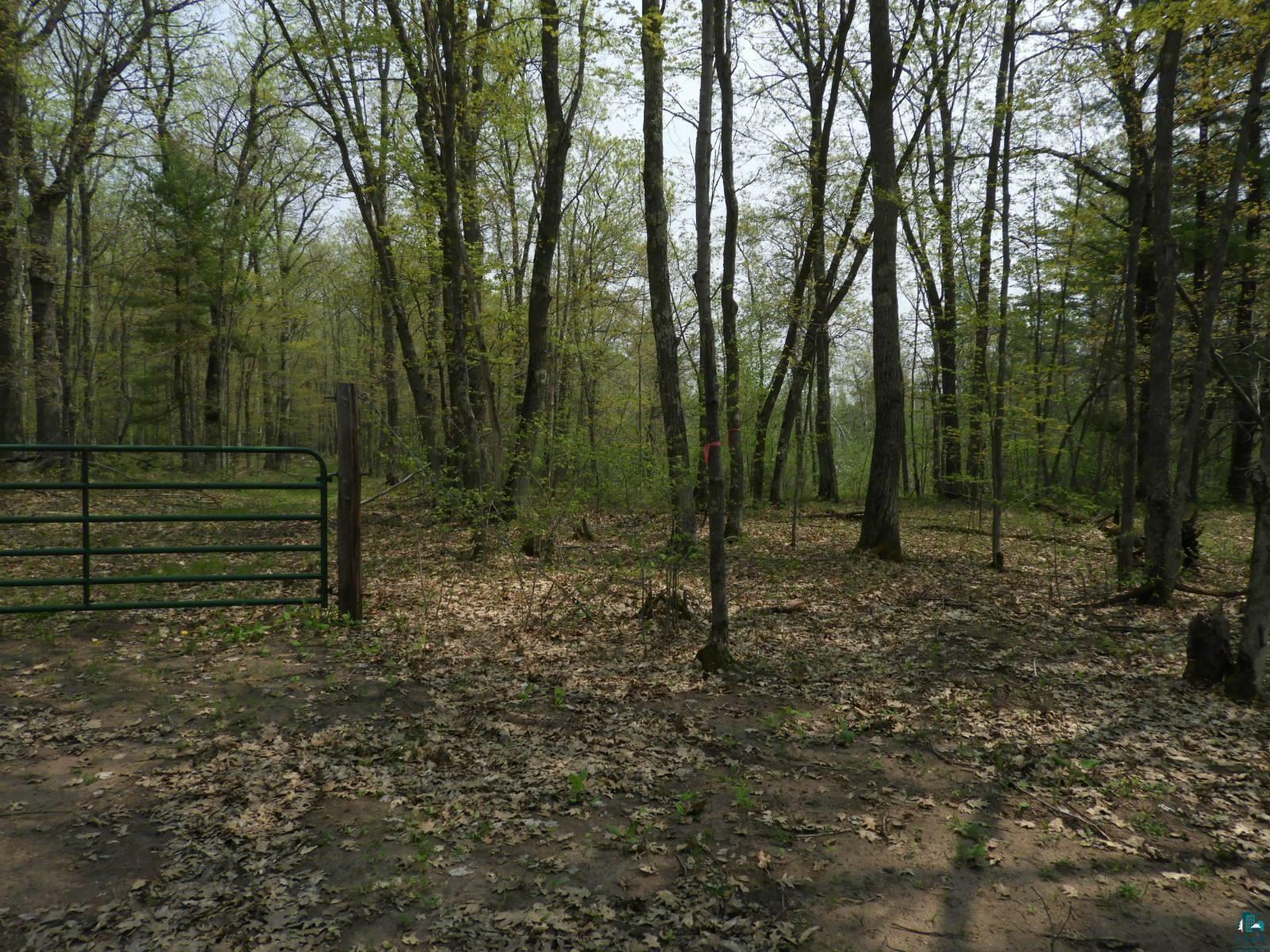 Property Photo:  6724X E Deep Lake Rd  WI 54847 