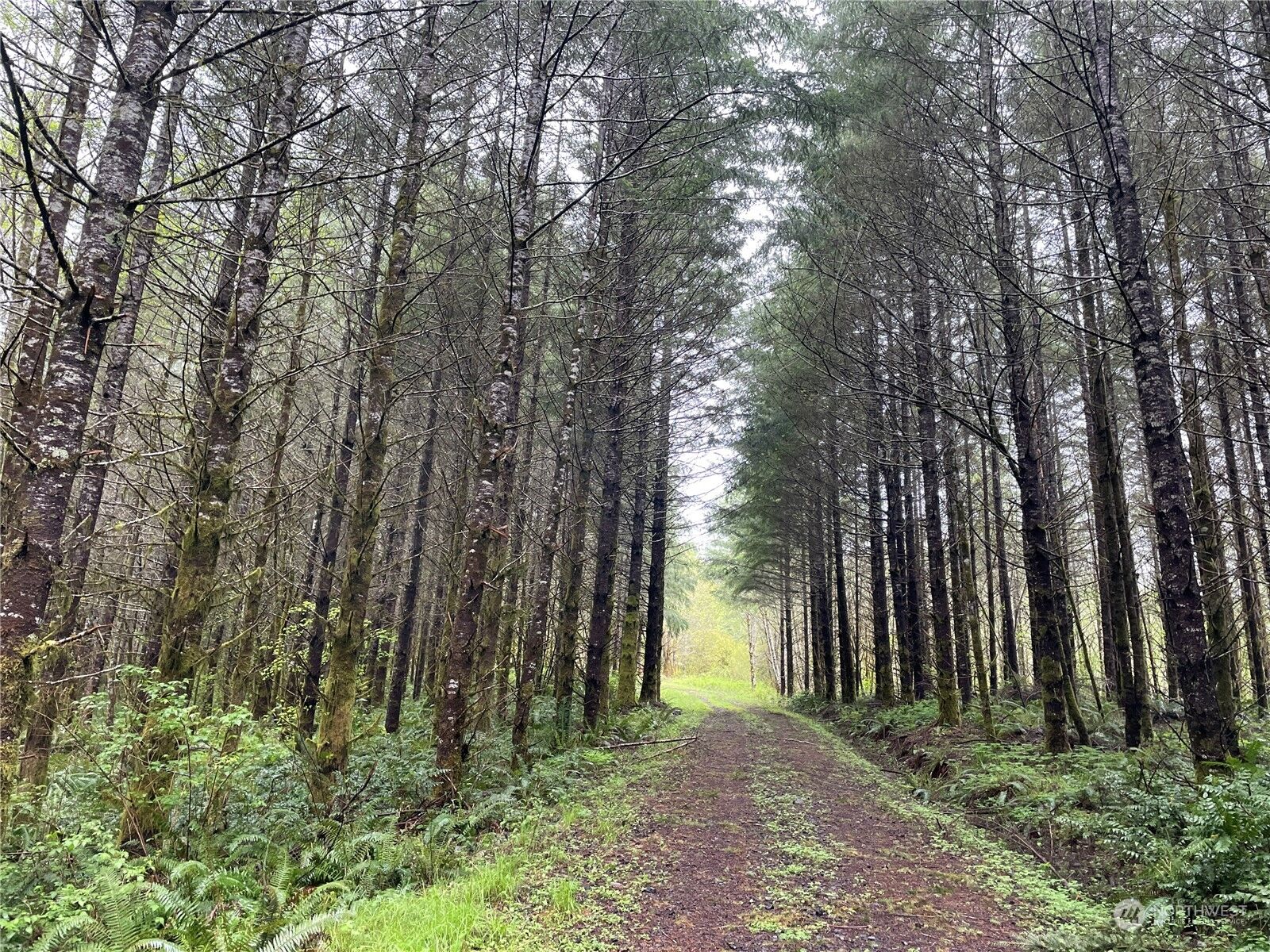 Property Photo:  0  Kalama River Road  WA 98625 