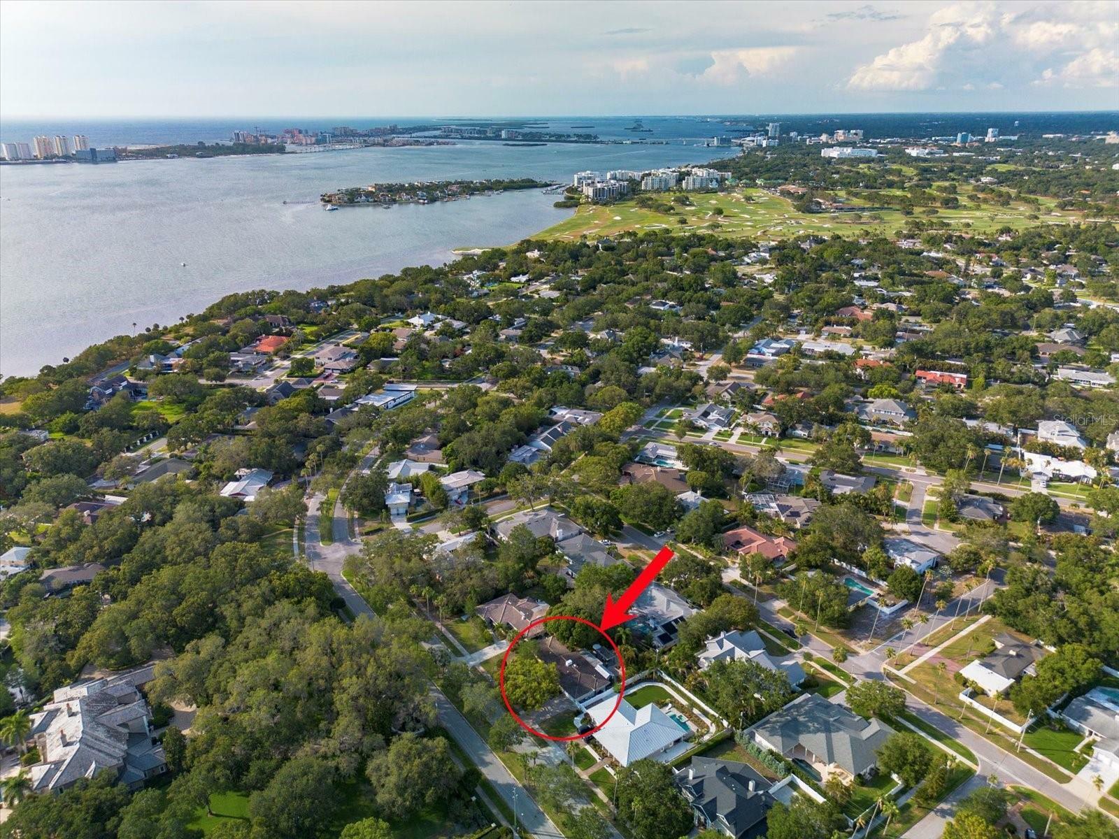 Property Photo: 209 Ponce De Leon Boulevard FL 33756