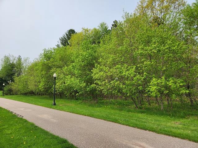 Property Photo:  Lot 8 3rd Street  WI 54466 