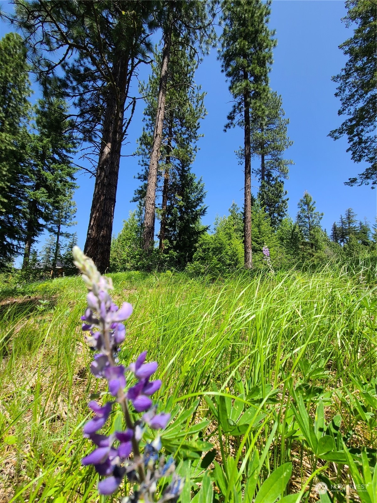 Property Photo: 121 Big Rock Lane WA 98922