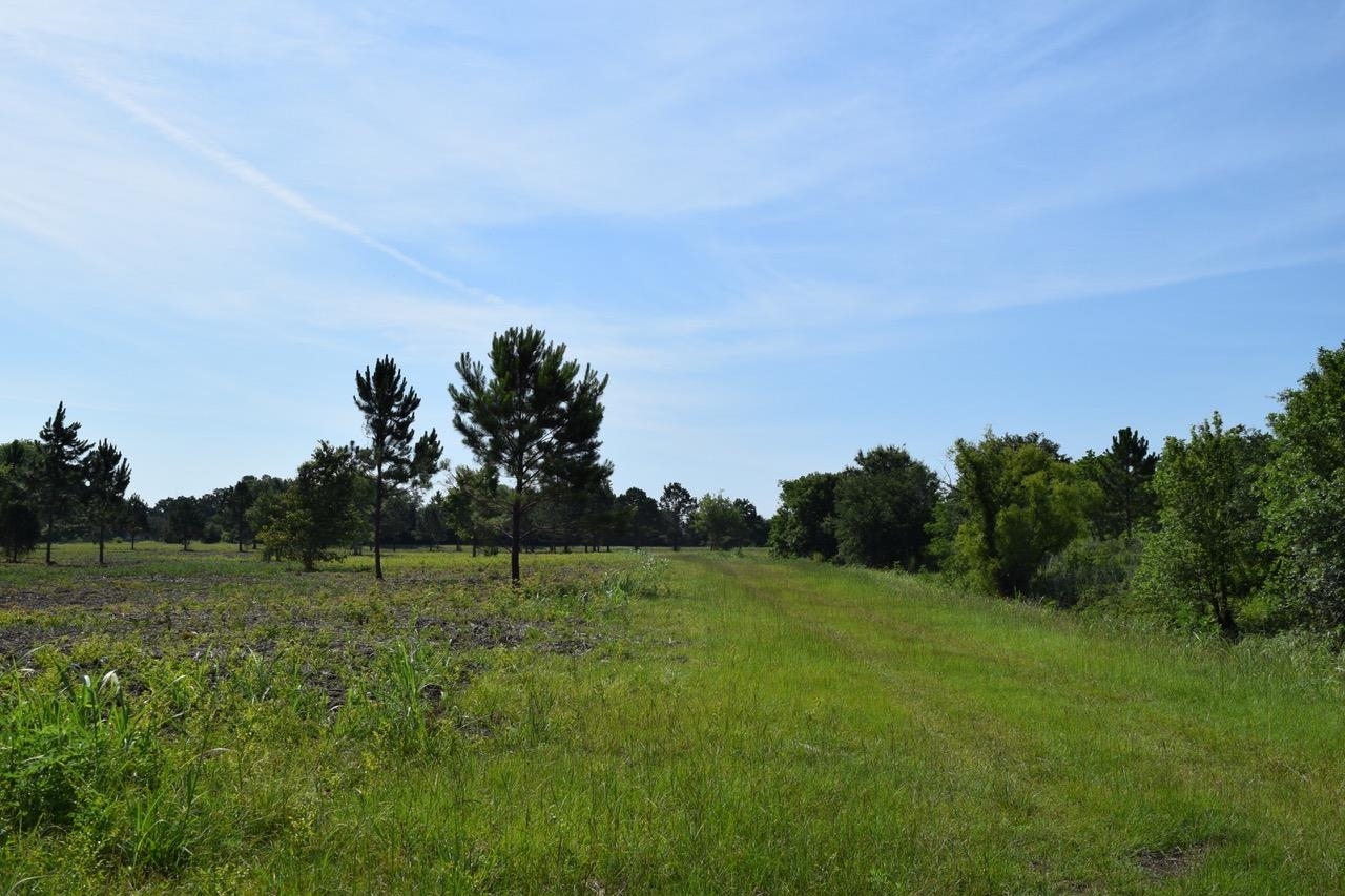 Property Photo:  0000 McCall Rd  TX 77622 