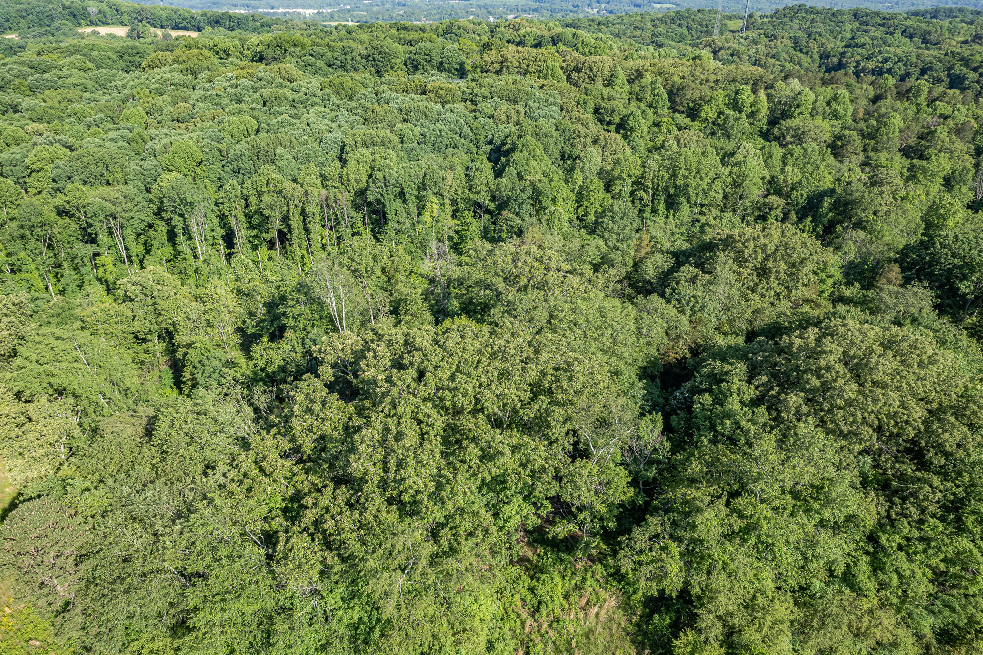 Property Photo:  12.75 Ac Off Kenneth Street  TN 37303 