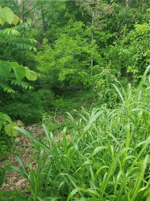 Property Photo:  Lot 11 Hampstead Lane  AR 72714 