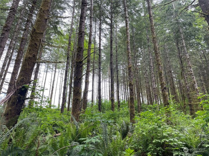 Property Photo:  0  Rose Valley Road  WA 98626 