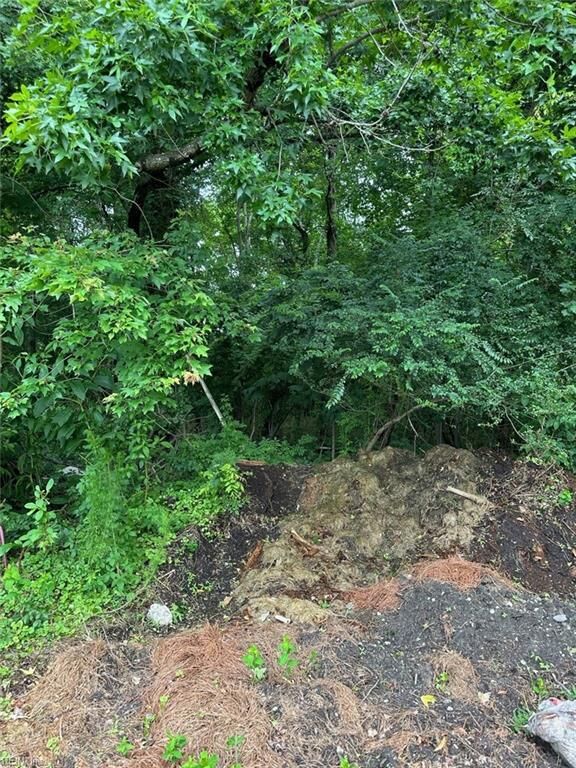 4225 Clifton Street  Suffolk VA 23435 photo