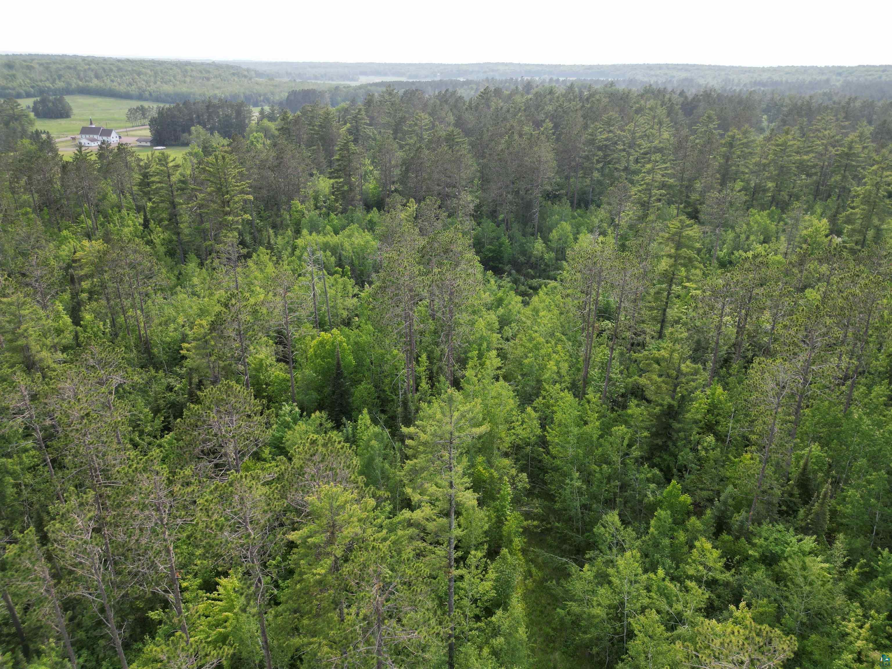 Property Photo: 000 Highway E 000 Sandor Road WI 54856