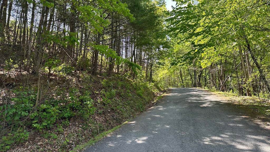 Lot 24 Ridgeland Circle  Sevierville TN 37862 photo