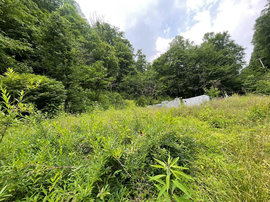Property Photo:  343 Hunts Branch  KY 41566 