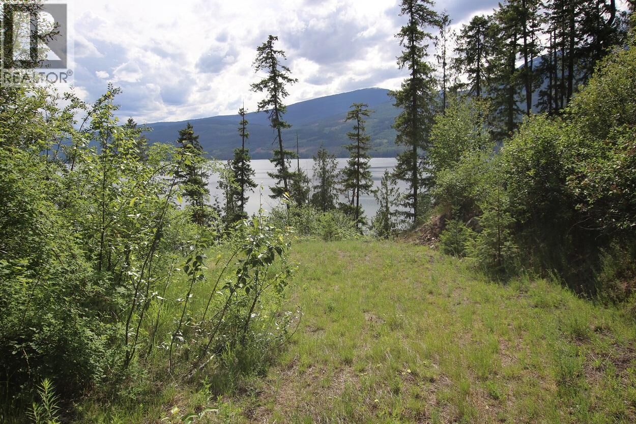Property Photo:  Lot B Highway 23 Other  BC V0G 1R1 