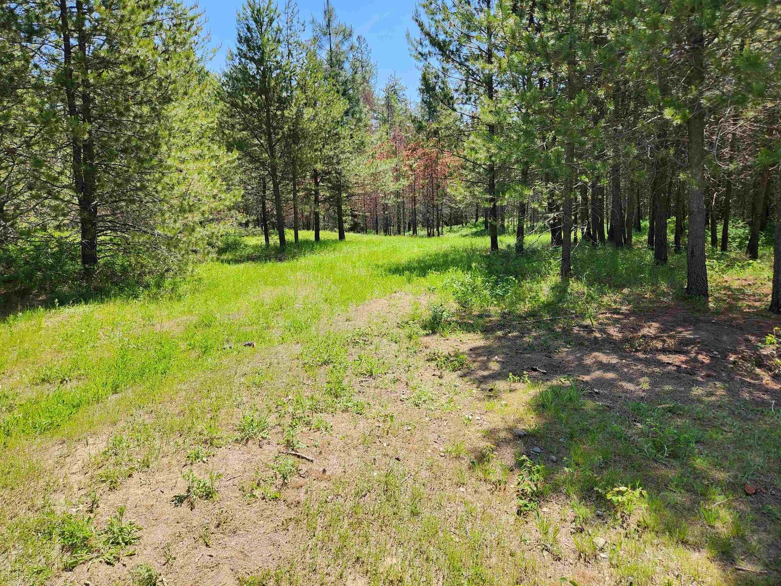 Property Photo:  911 Driskill Rd  WA 99156