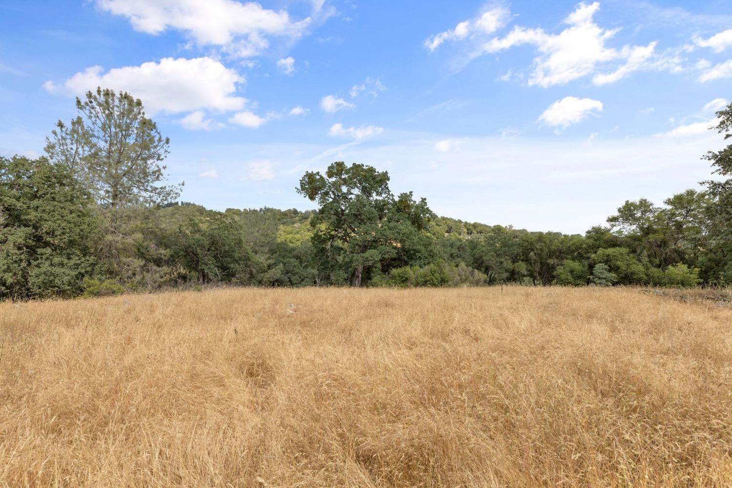 Property Photo: 2 Bell Road CA 95669