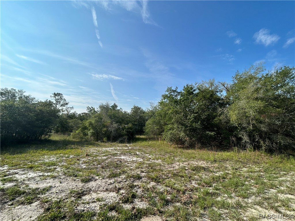 Property Photo: 12428 W Acacia Drive FL 34428