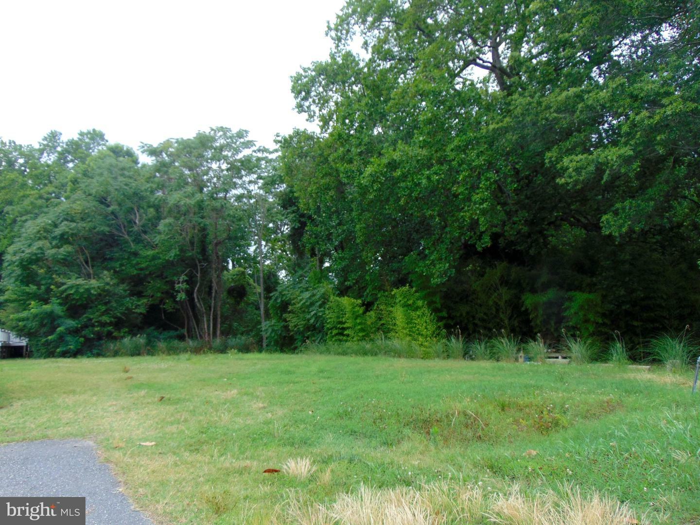 Property Photo:  Lot 6 Twelfth St  VA 22443 