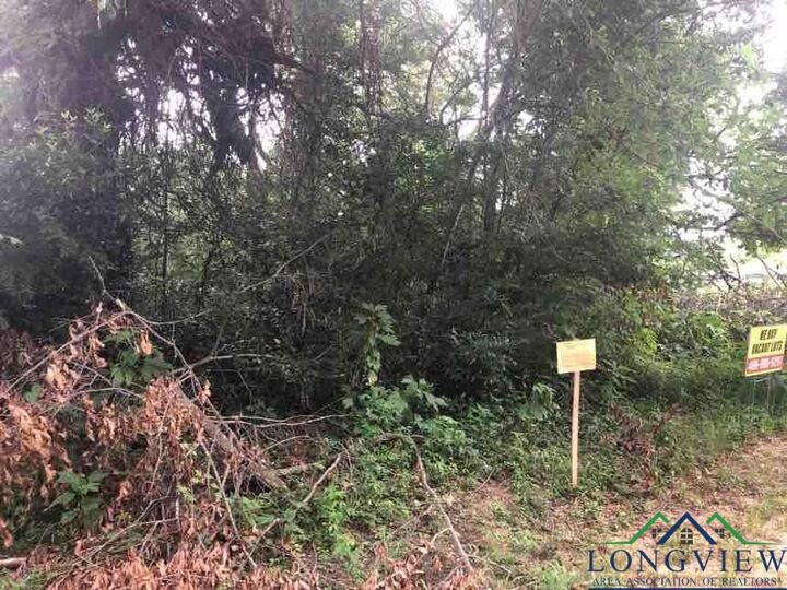 Property Photo:  805 Roosevelt Street  TX 75601 