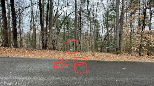 Property Photo: Lot 8 Woods Haven Lane VA 24171