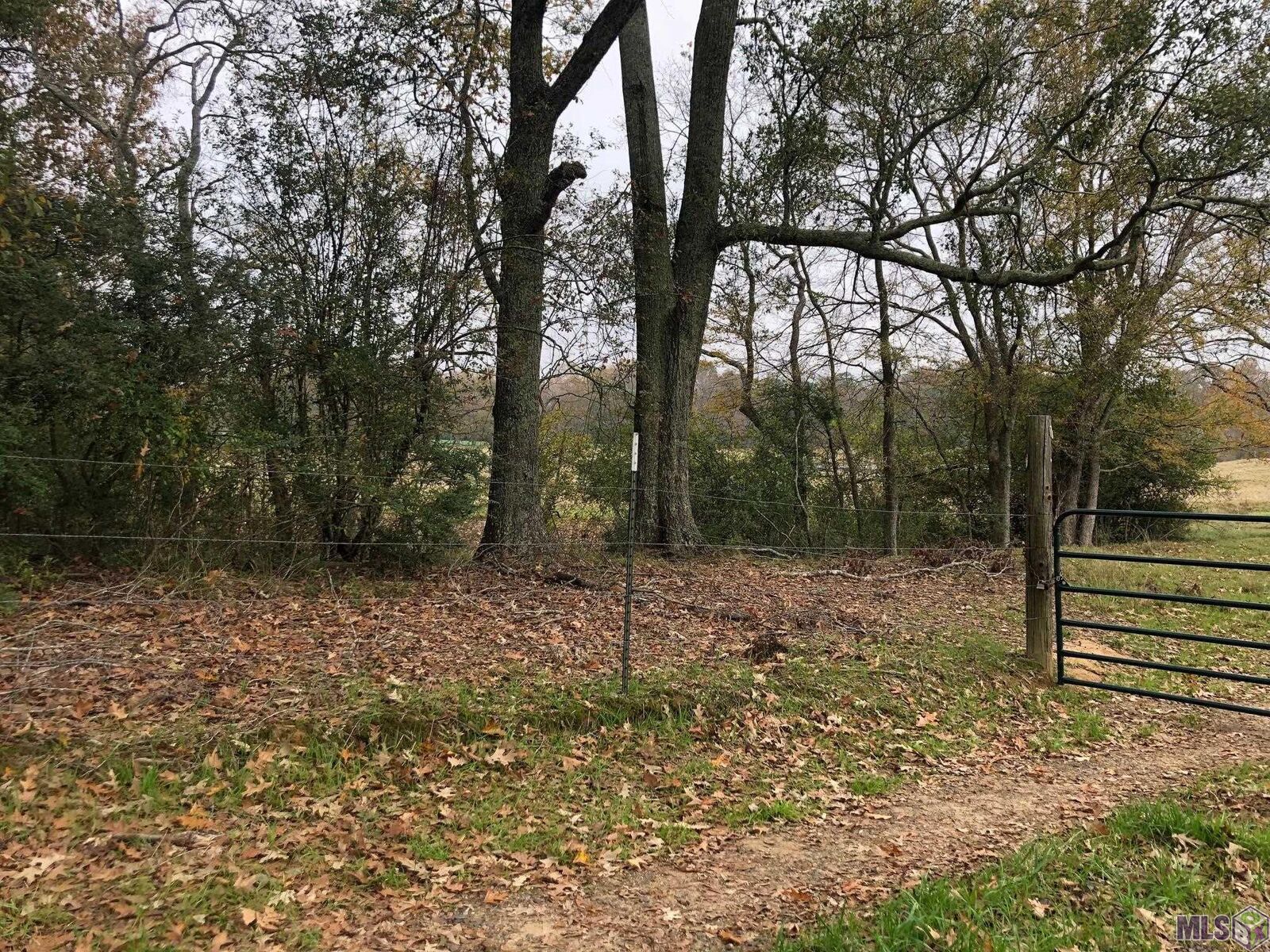 Property Photo: Jackson Louisiana Rd MS 39669