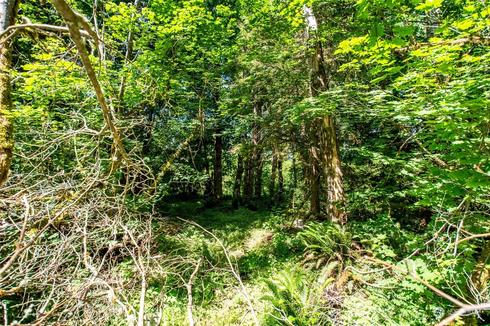 Property Photo:  9834 351st Avenue SE  WA 98065 