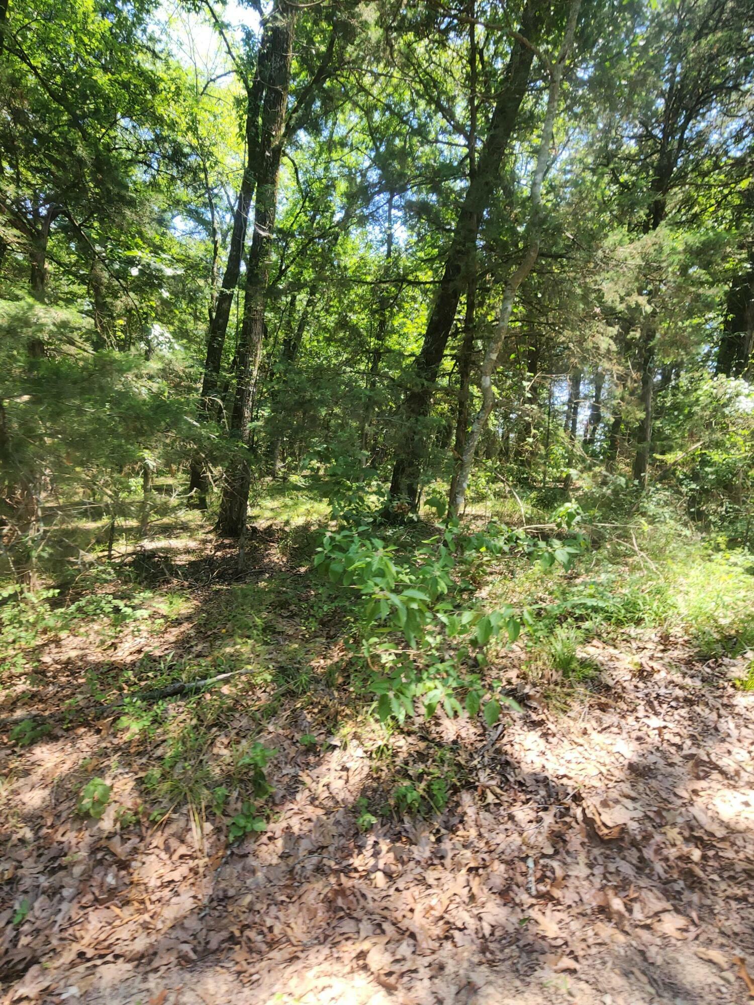 Property Photo:  Lot45-49 Pittsburg Landing Loop Estates  AR 72845 