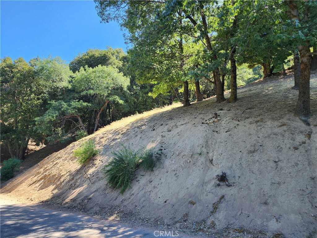 Property Photo:  0 Edelweiss Drive  CA 92325 