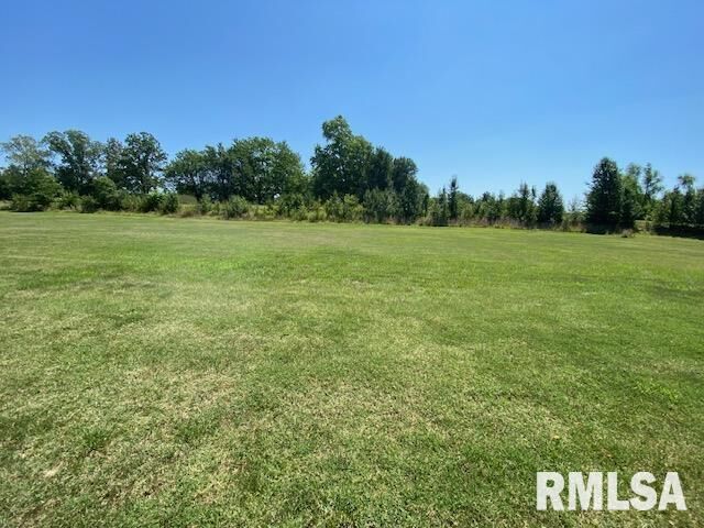 Property Photo: Lot 2 S Greenbriar Road IL 62918