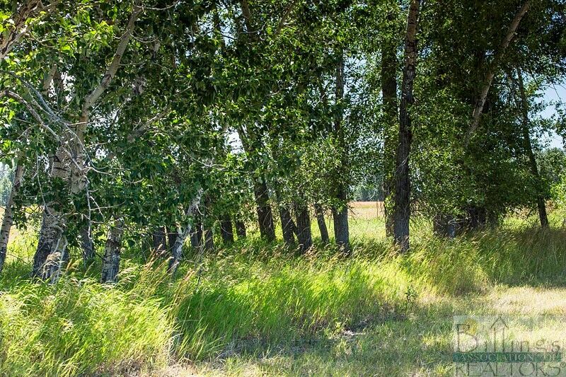 Property Photo: Lot 3 Paradise Meadows (Rosebud View & Lupine) MT 59070