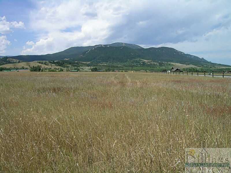 Property Photo: 25B Willow Creek Crossing Sub. MT 59068