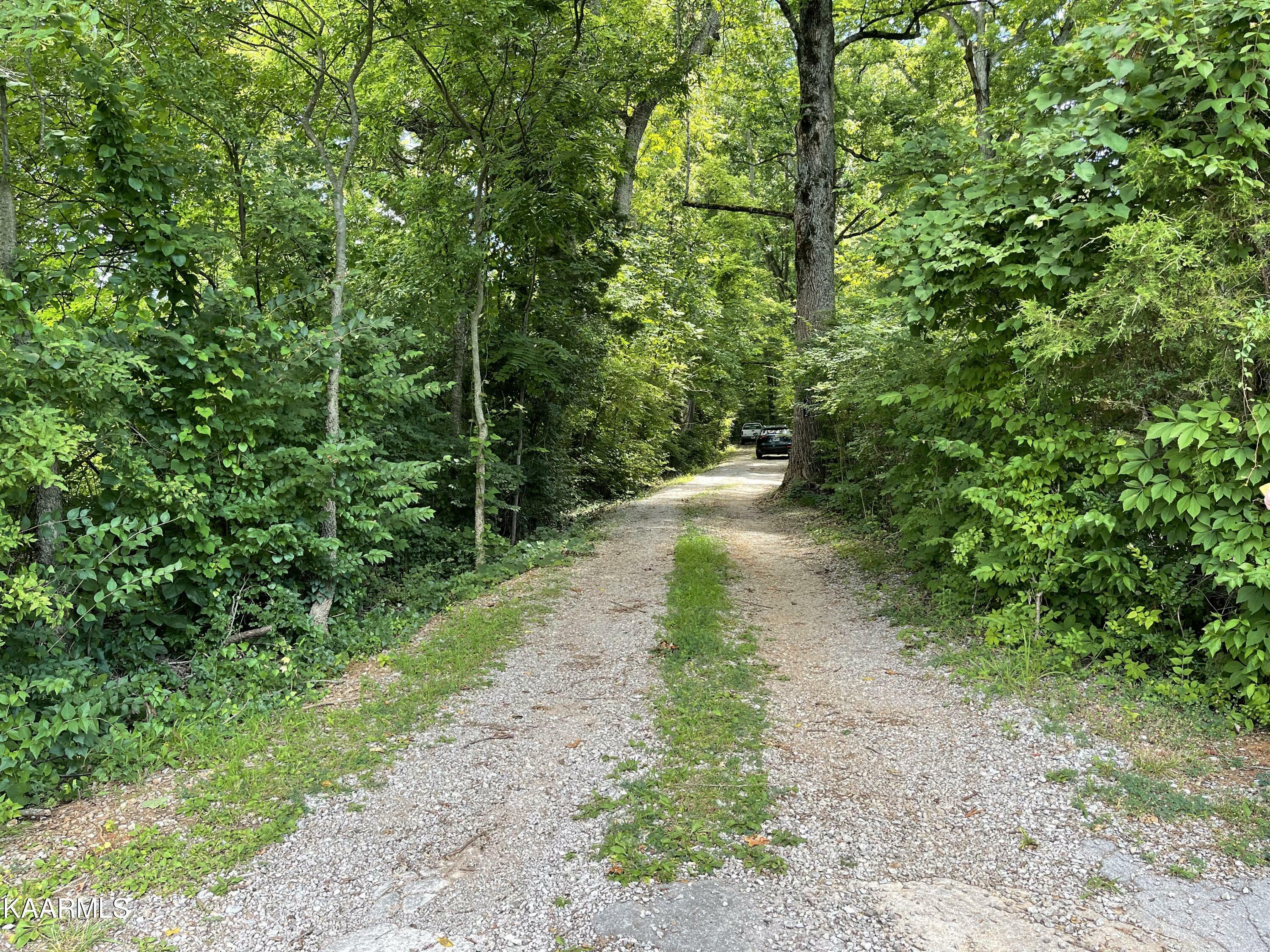 Property Photo:  212 Fox Rd  TN 37922 