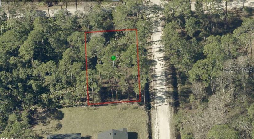 Property Photo:  East Parkway  FL 32724 