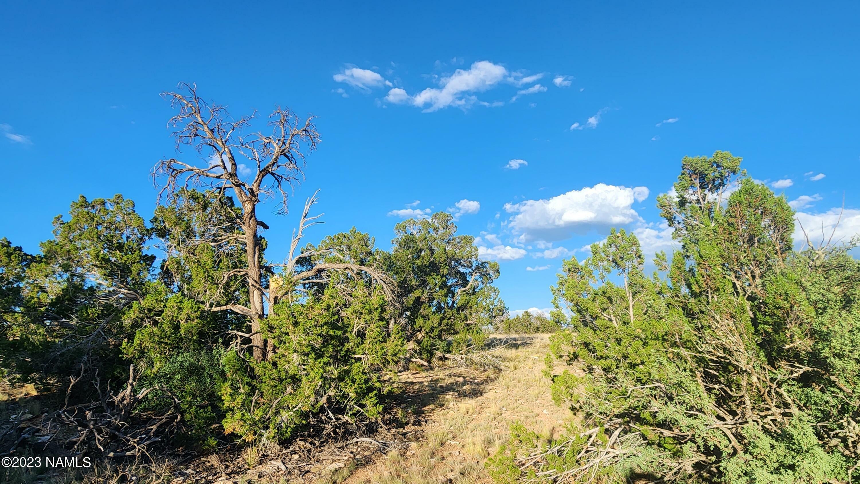 Property Photo:  5893 Fire Sky Trail  AZ 86046 