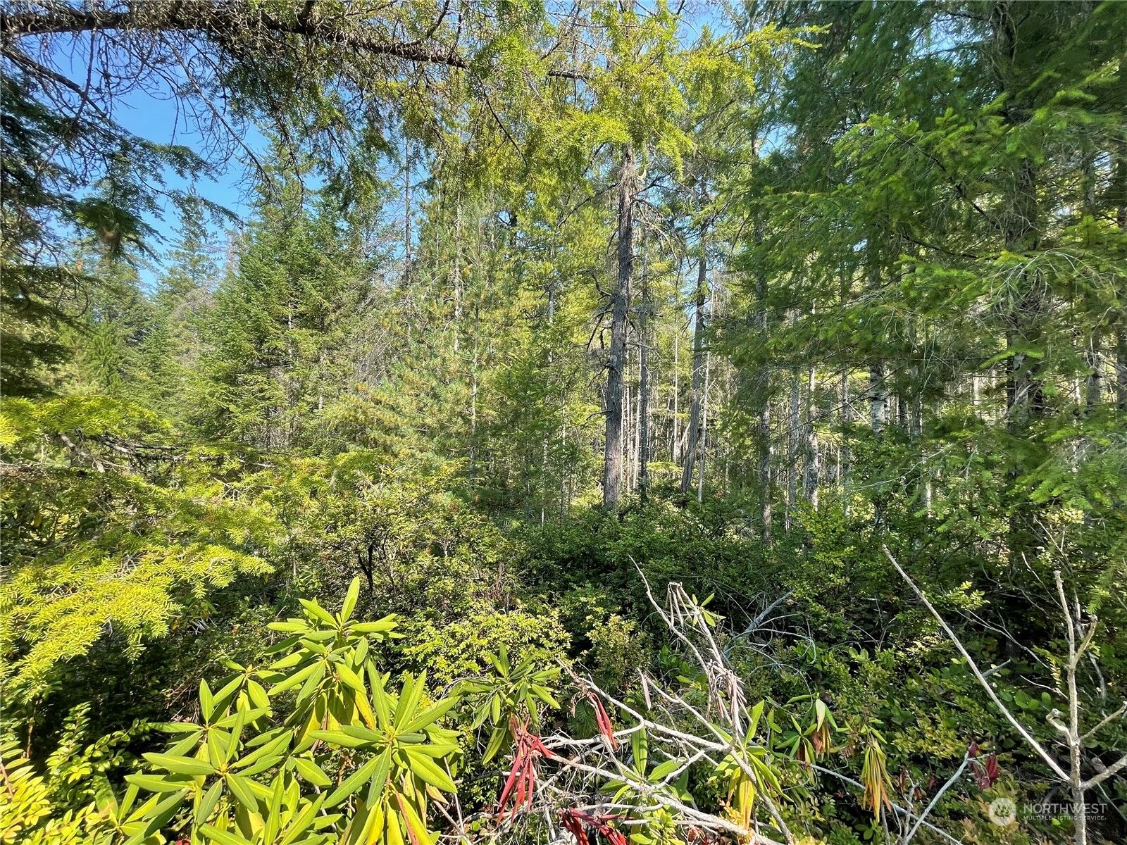 Property Photo:  0 NE Blacksmith Drive  WA 98528 