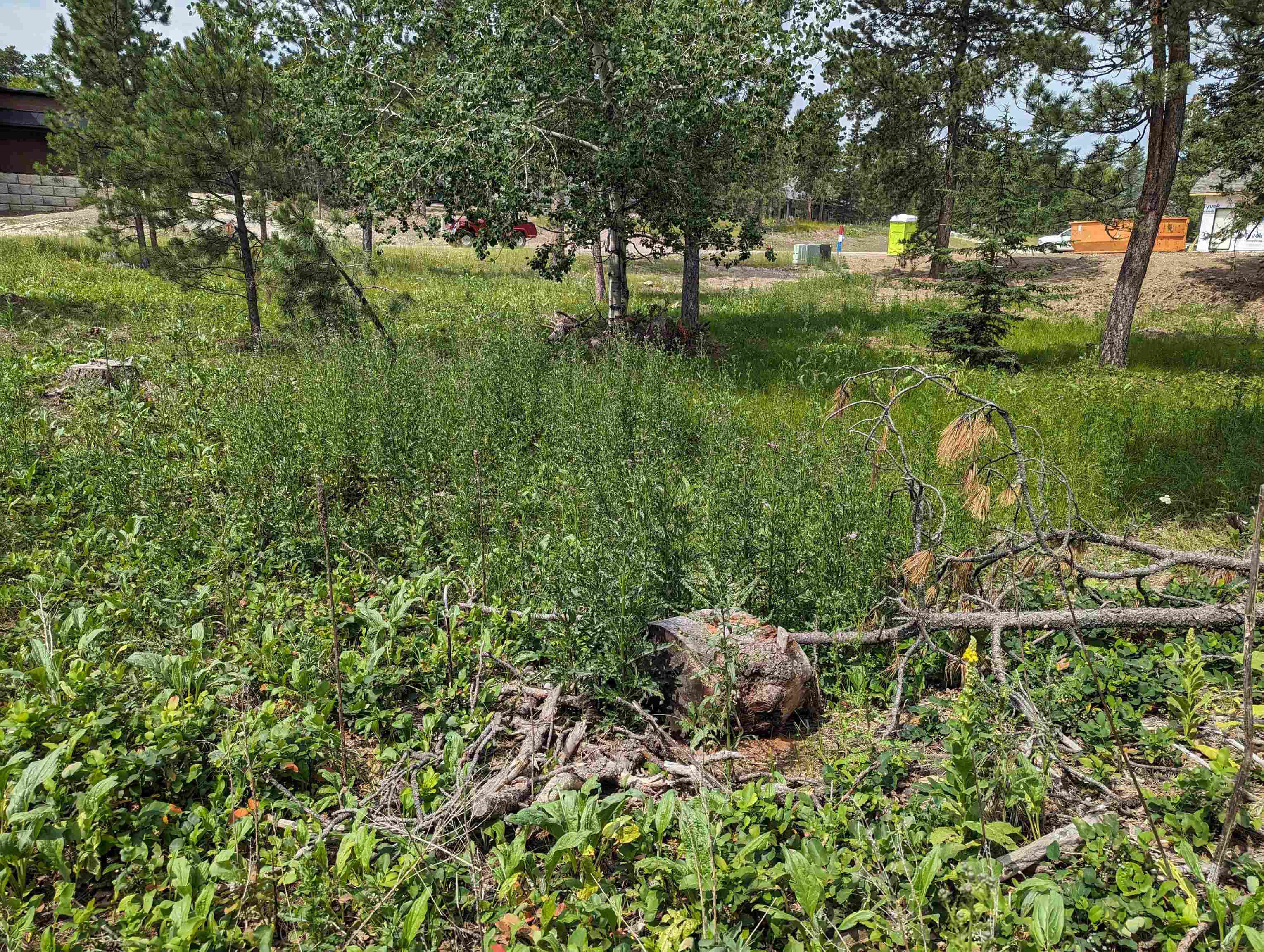 Property Photo:  Lot 4 Block 3 Lantern Lane  SD 57754 