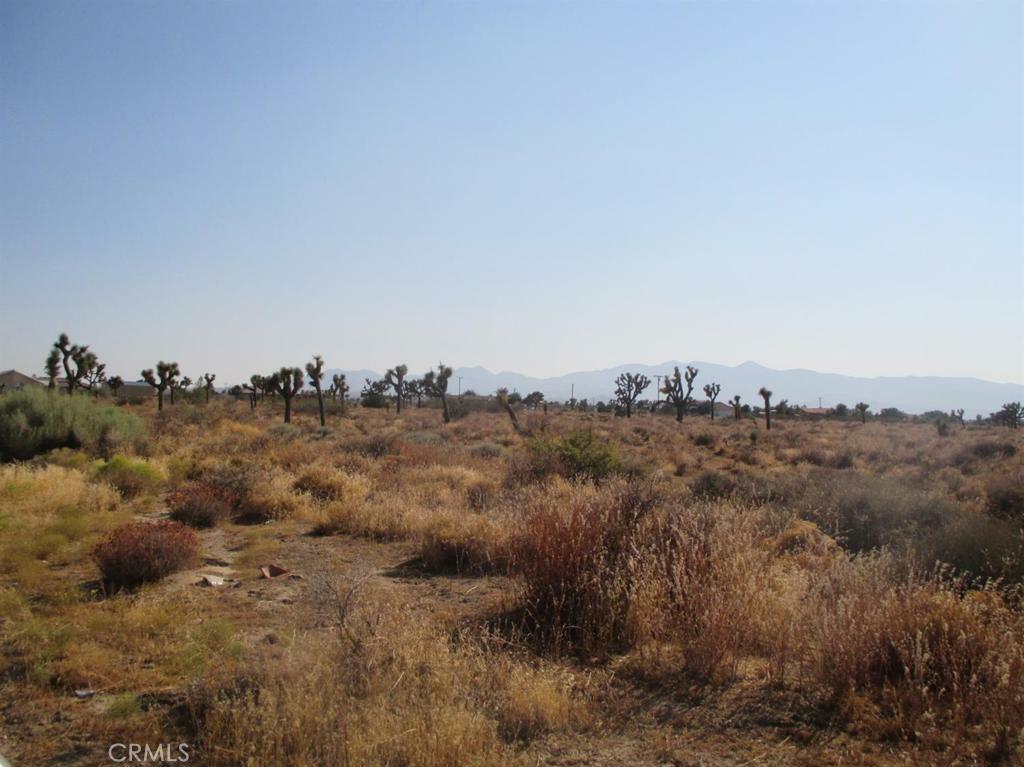 Property Photo:  0 Columbine Road  CA 92344 