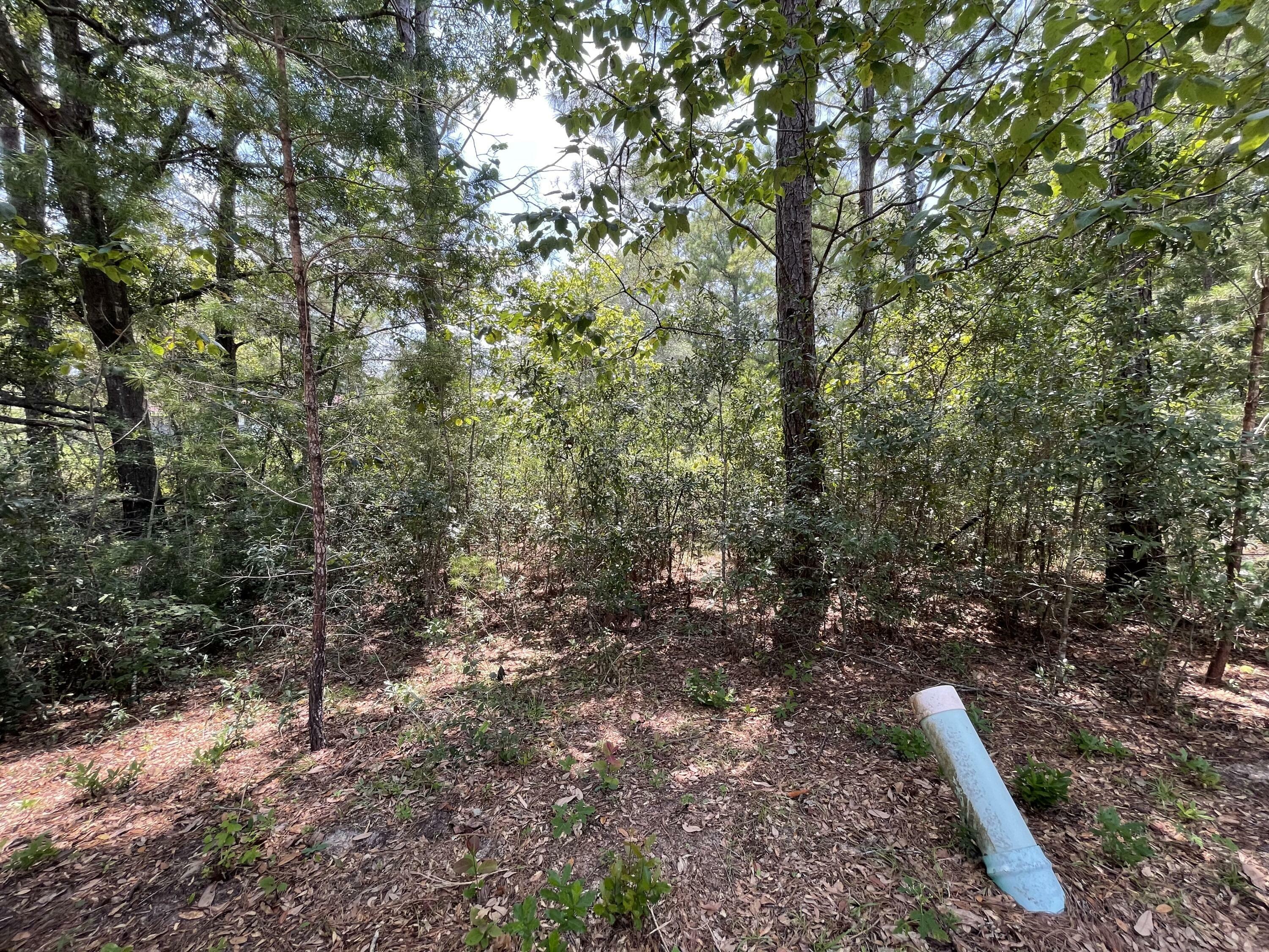 Property Photo:  Lot 33 Grande Oaks On Caswell Branch Road  FL 32439 