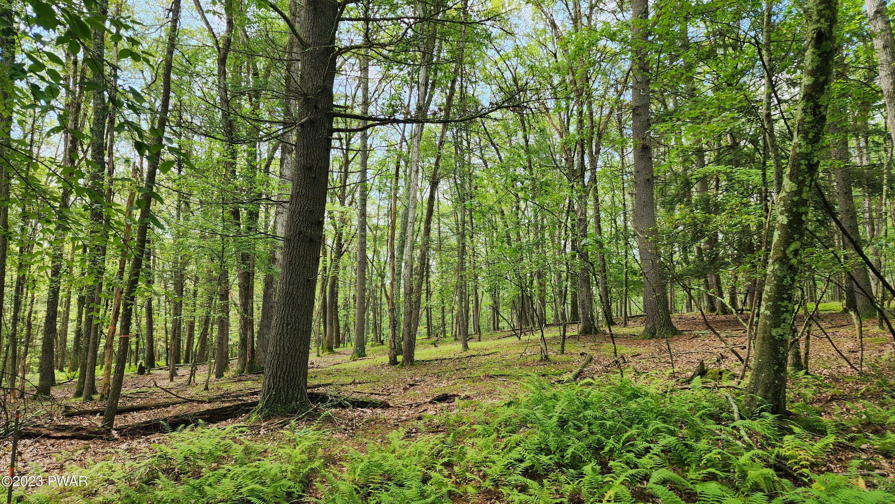 Property Photo:  Lot 463 Eastwood Circle  PA 18428 