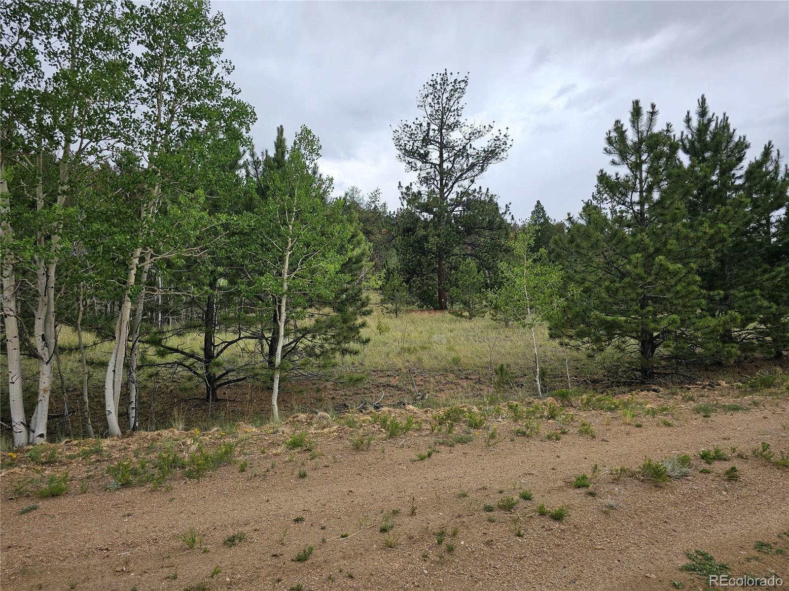 Property Photo:  Huerfano Drive  CO 80449 