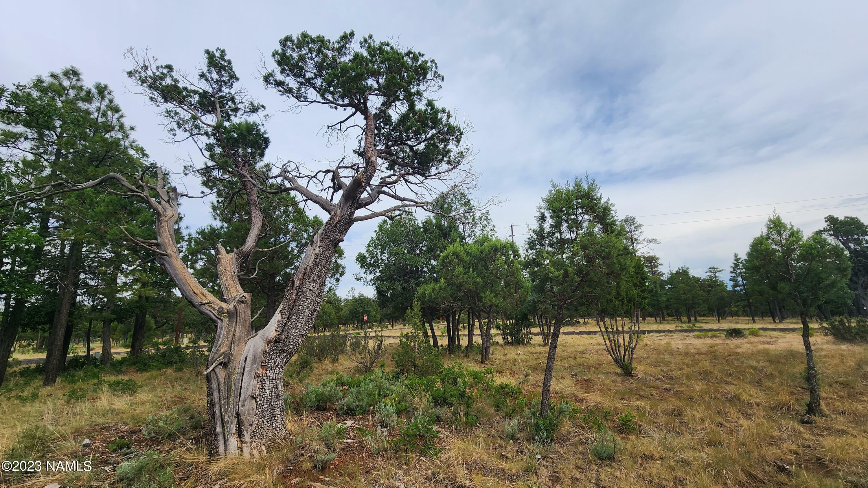 Property Photo:  2368 Pine Crest Drive  AZ 86024 