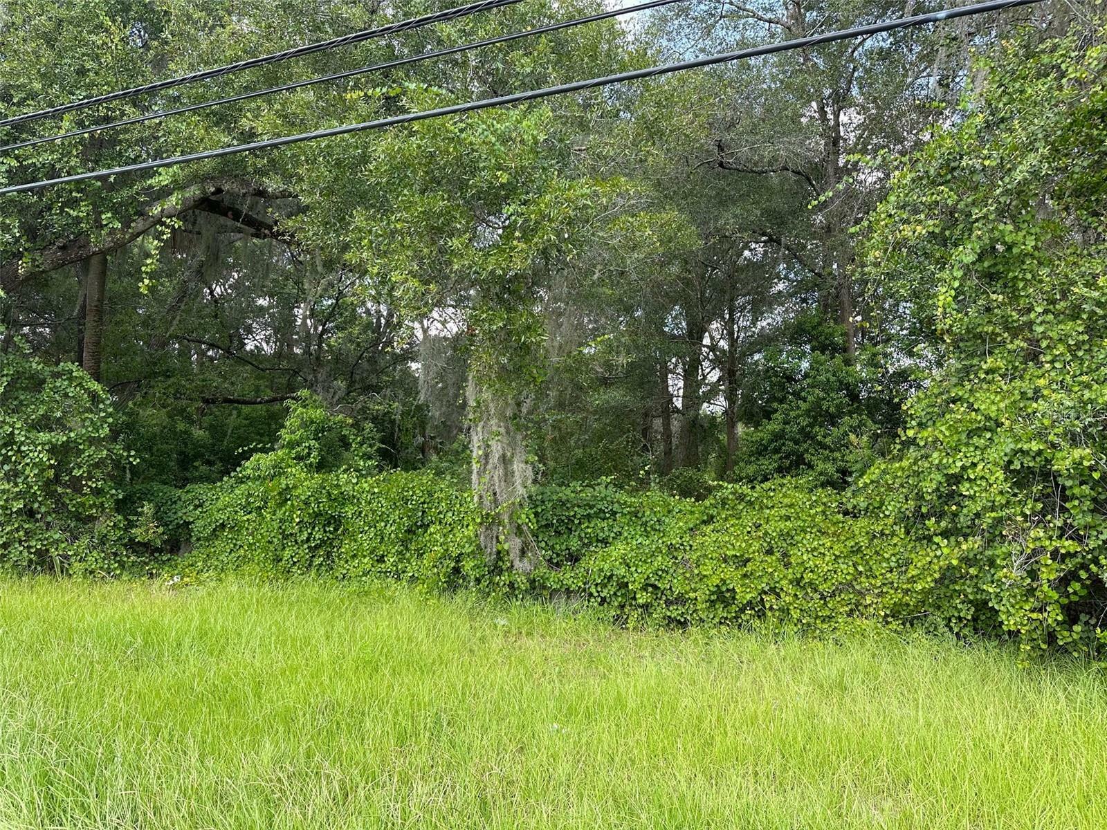 Property Photo:  620 S Hill Avenue  FL 32724 