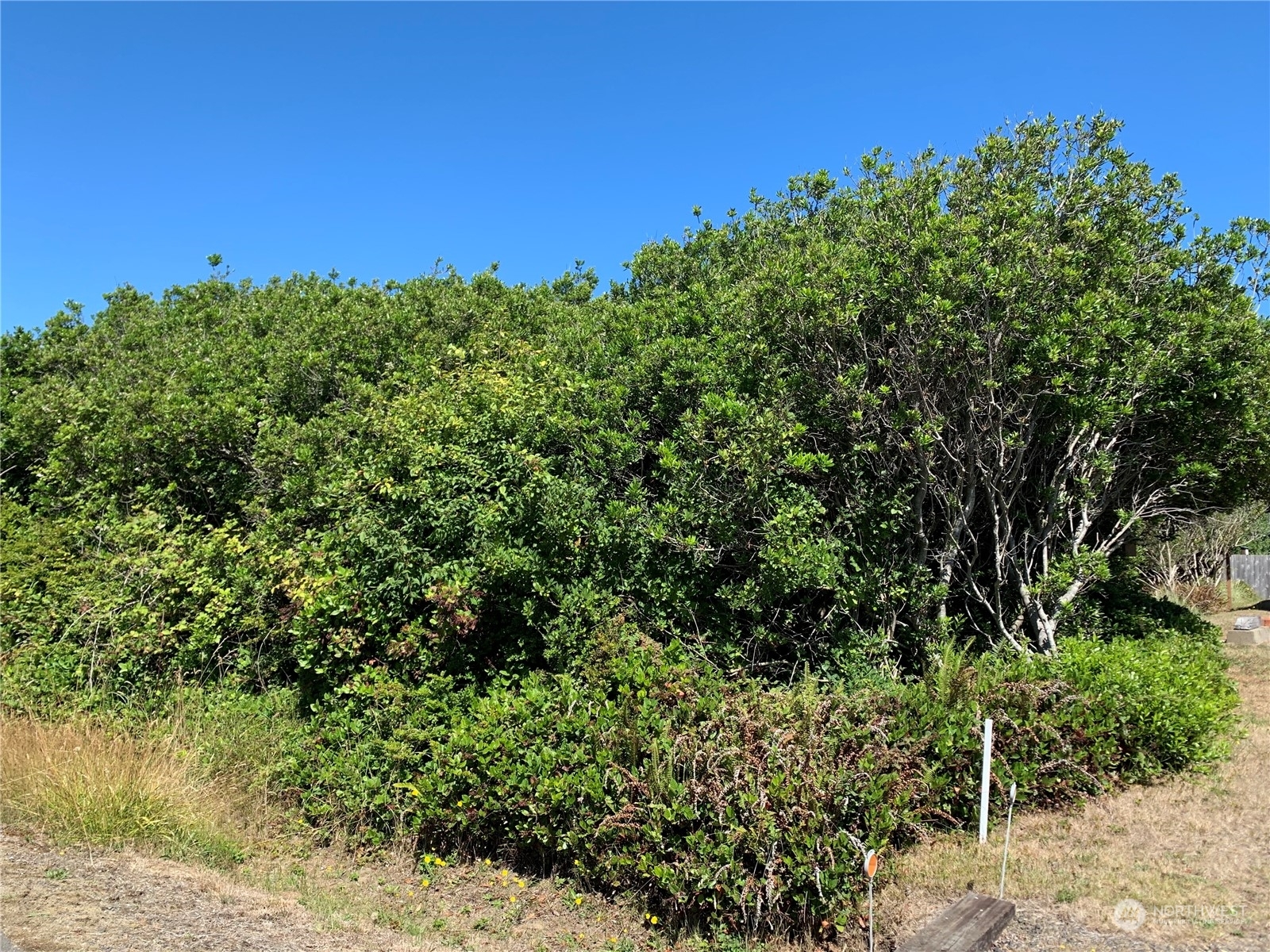 Property Photo:  122 Sand Dune Avenue SW  WA 98569 