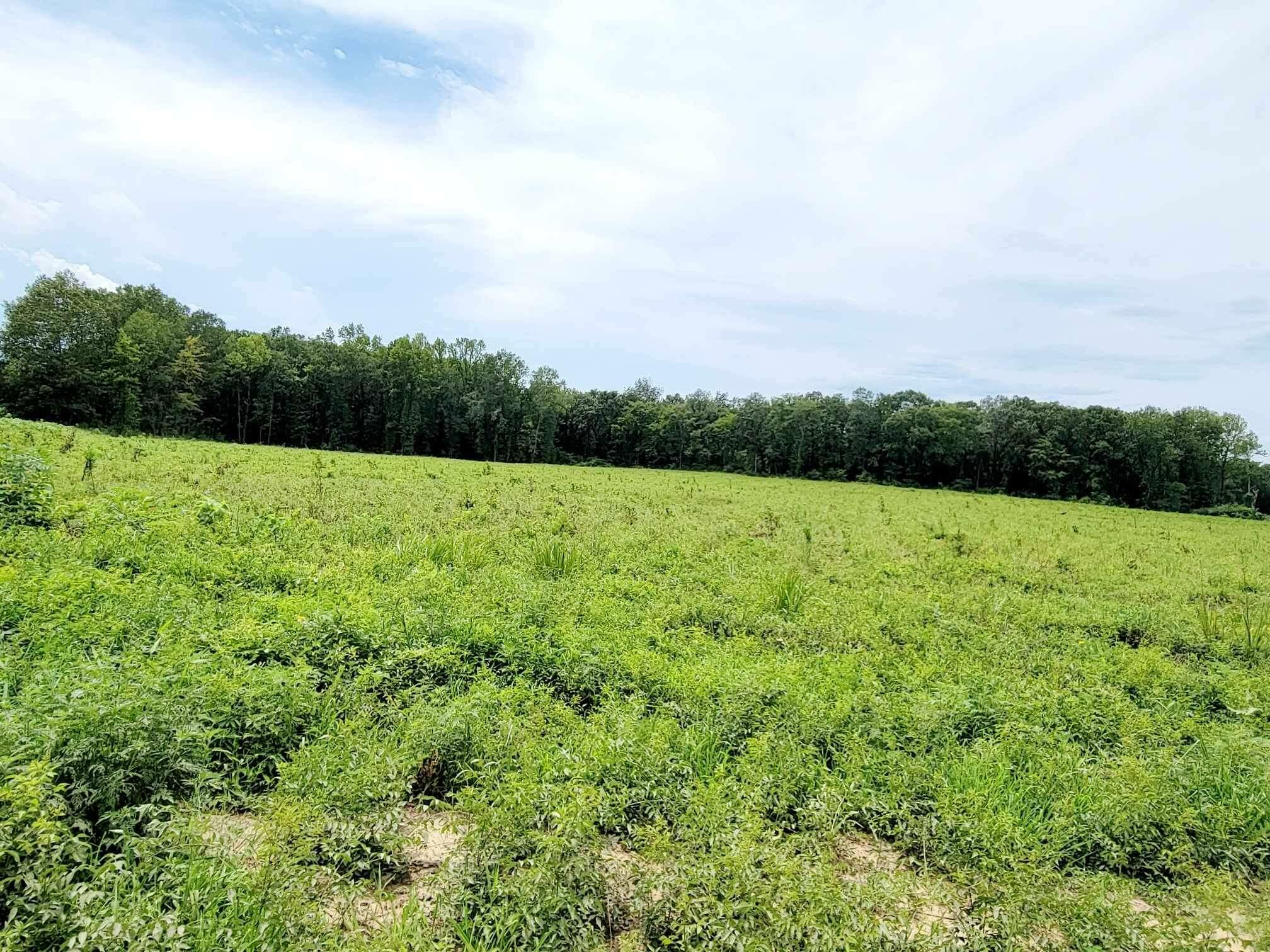Property Photo: Hwy 7 & S New Hope AR 72833
