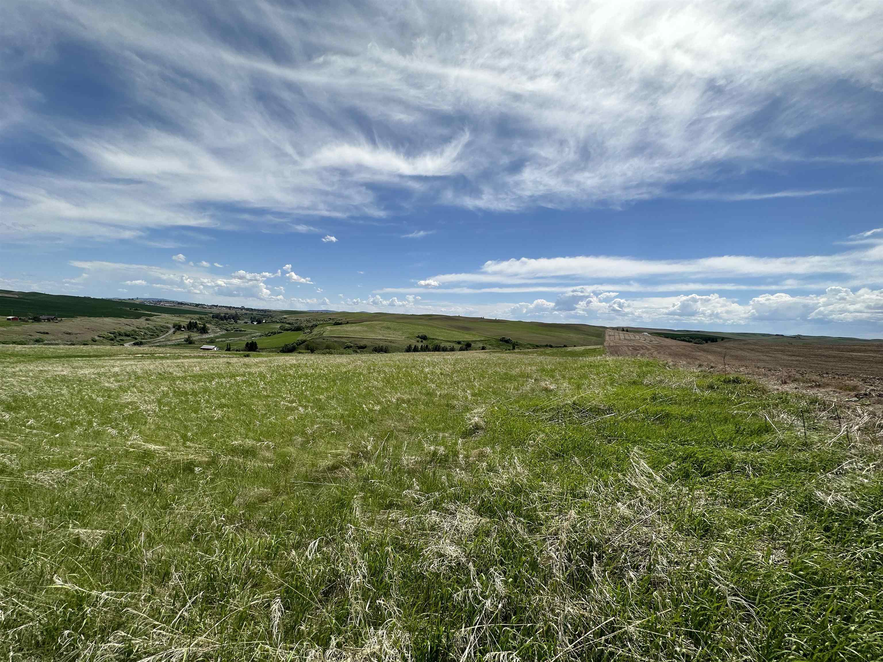 Property Photo: 7xx Armstrong Rd WA 99163