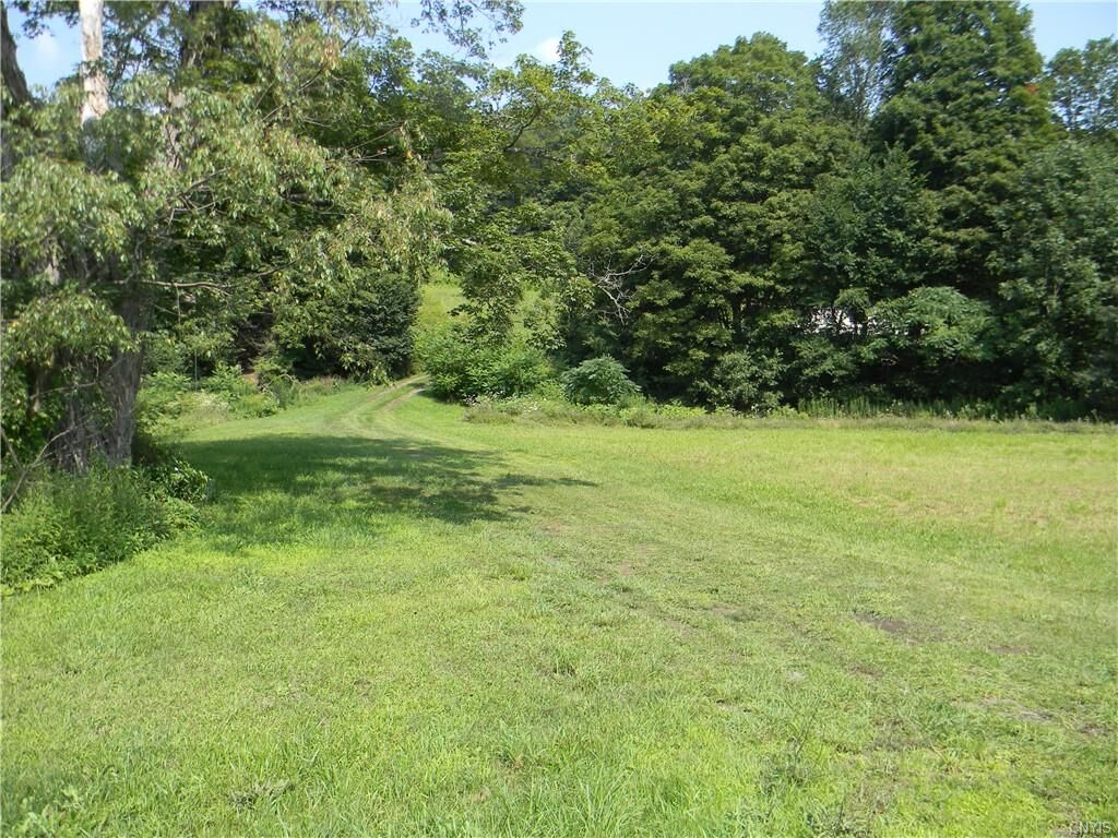 MLSS1491136 0 Cold Brook Road, Homer, NY 13077