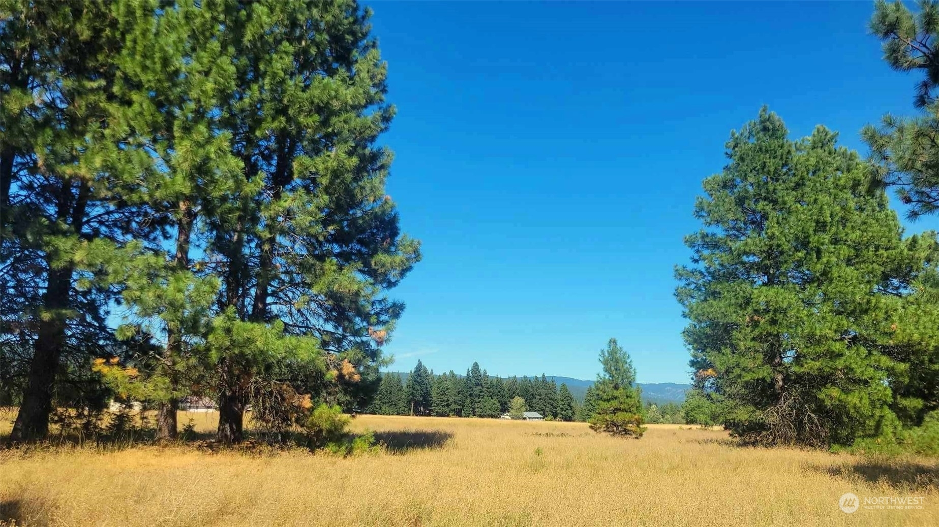 Property Photo:  0 Lot 3 Dunnagan Avenue  WA 98922 