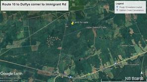 Property Photo: Land Immigrant Road NB E4B3N6