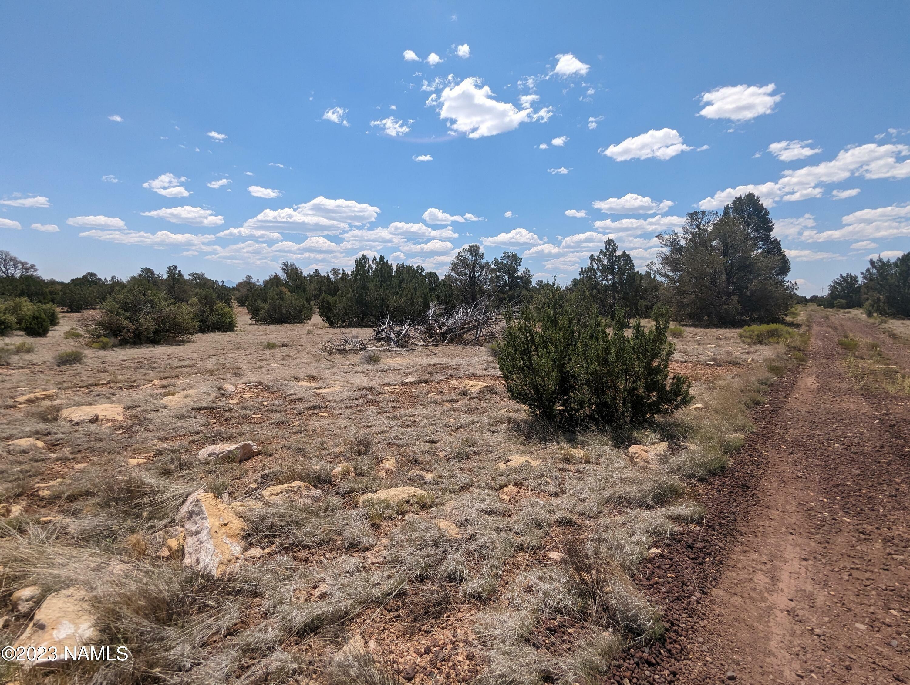 Property Photo:  10422 W Red Bluff Road 628  AZ 86046 