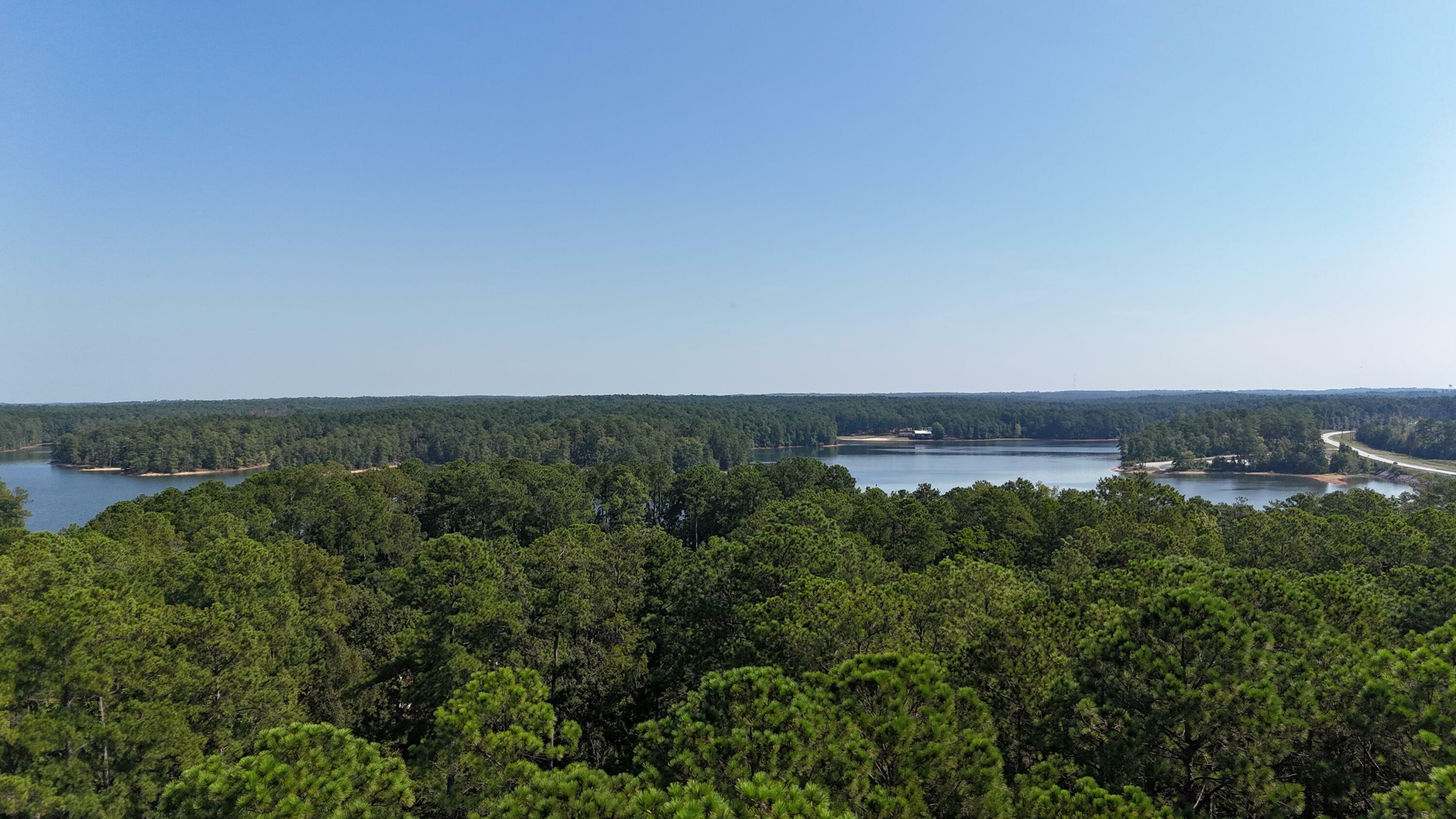 Property Photo:  Lot 7 Hummingbird Lane  SC 29835 