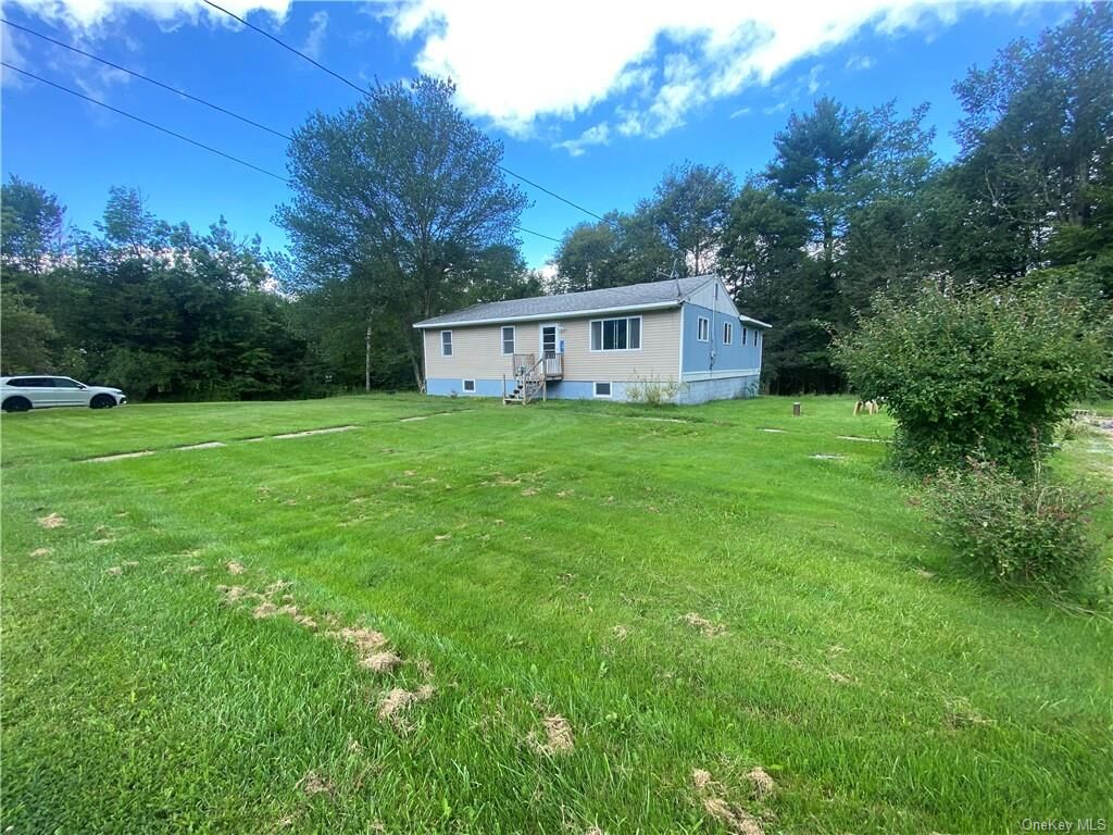 Property Photo:  68 Rapp Road  NY 12701 
