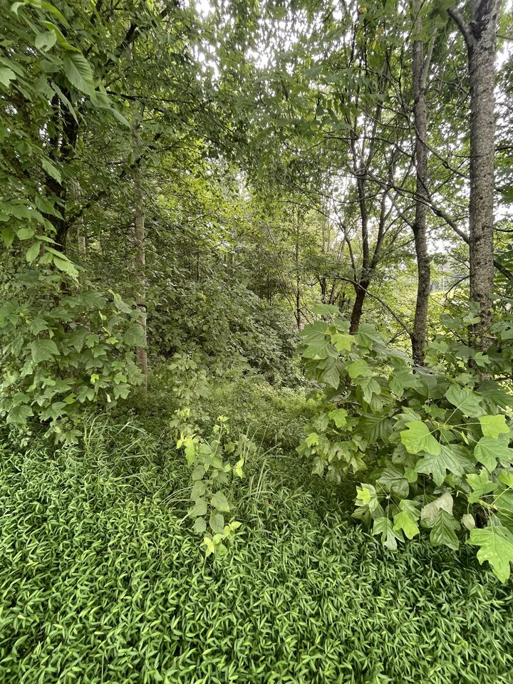 Property Photo: 0 Hwy 52 Bypass West W TN 37083