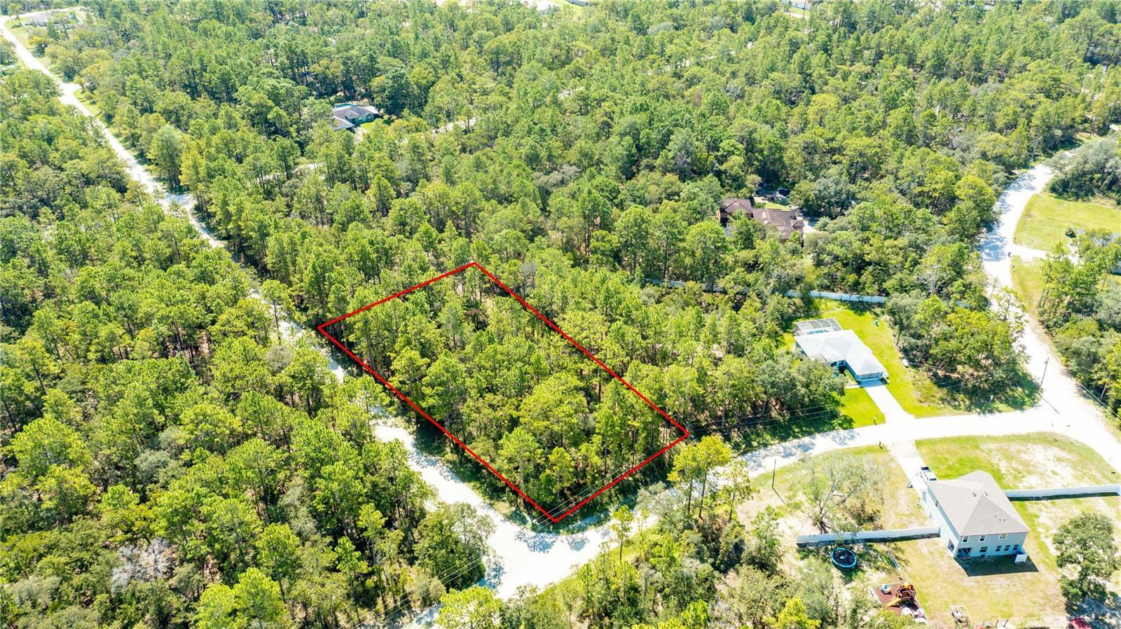 Property Photo:  11156 Yellow Tail Ave  FL 34614 