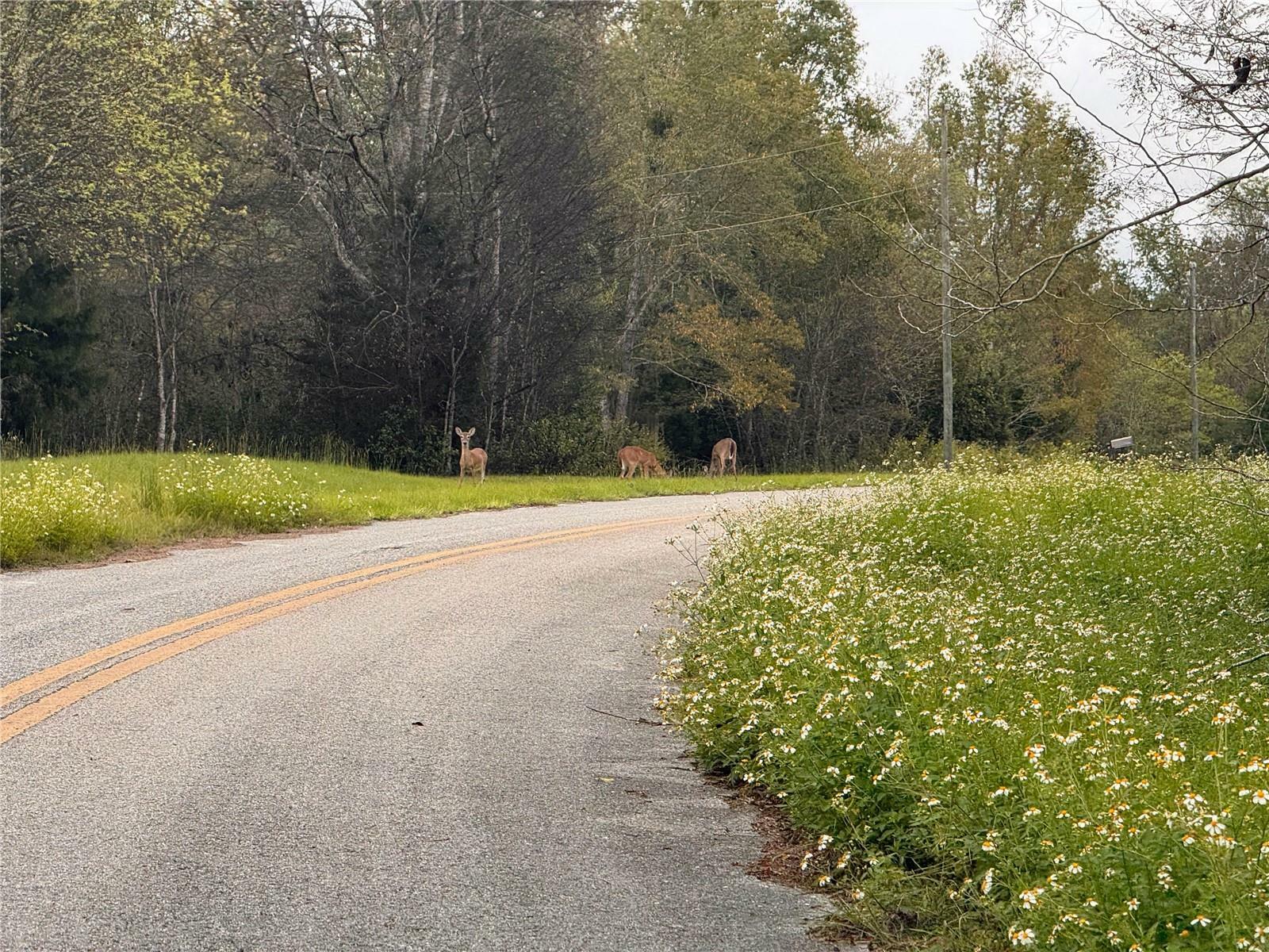 Property Photo:  00 SW Sedgefield Farms Glen  FL 32038 